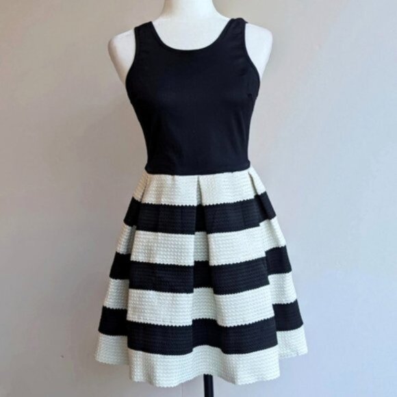 L'atiste by Amy textured pleated black & white striped colourblock a-line Dress - Picture 1 of 5